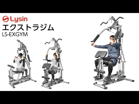 引取限定 ライシン Lysin ホームジム トレーニングマシン LS-EXGYM ライシン ホームジム 1台多役 静音設計 自重 総合 筋トレ マシン