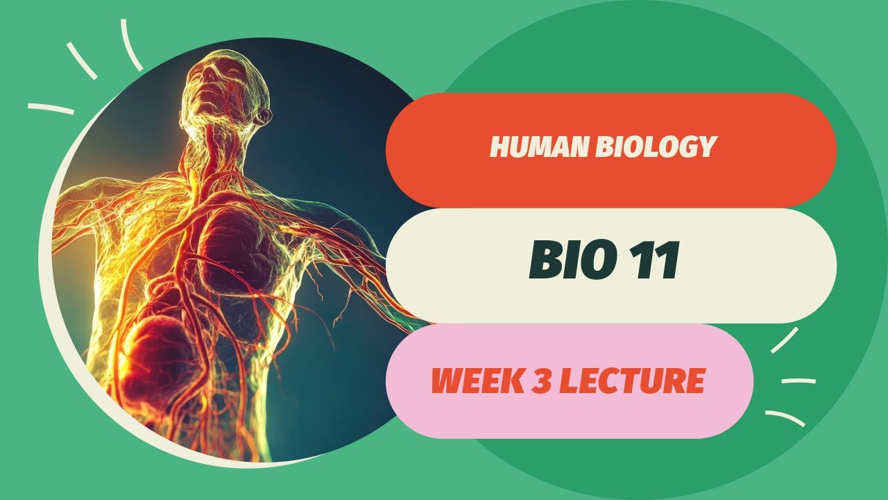 Biology 11 - YouTube