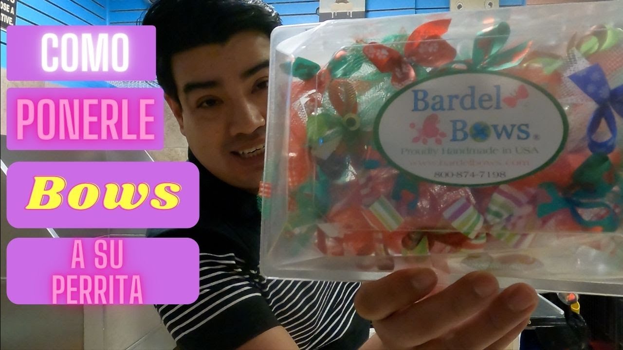How to put Bardel Bows on your dog, Dog grooming in Queens New York