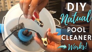 How To Build A Solar Pool Ionizer / Copper Colloidalizer   diy Natural pool cleaner  NO Chemicals!