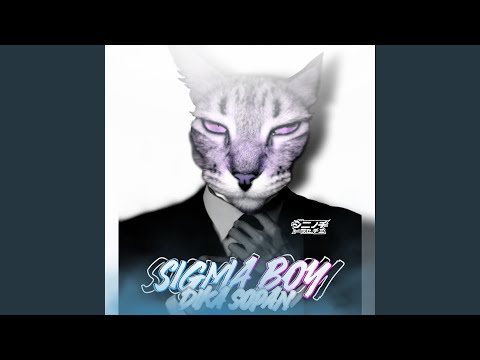 DJ SIGMA BOY X MASHUP SLOWED REMIX - DJ KOBZ FT. DJ FERNZ BASS REMIX