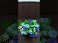 ♪『北の港駅』田川寿美さんの曲(2011年)