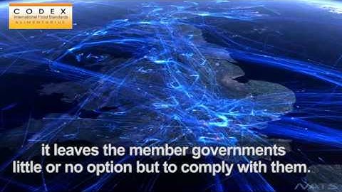 What is the Codex Alimentarius