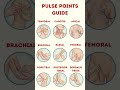 9 Pulse Points in the Human Body