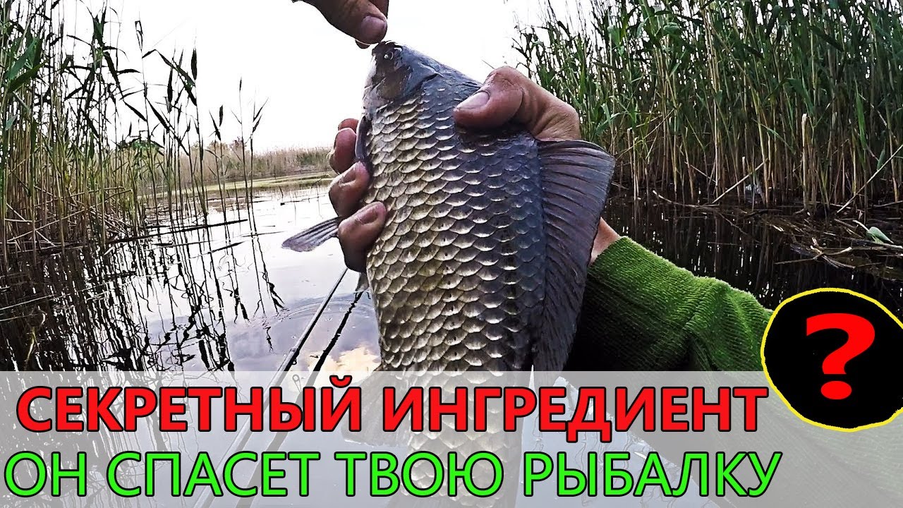 Ты НИКОГДА не догадаешься, что я добавил... Рыба сама прыгает в ведро!