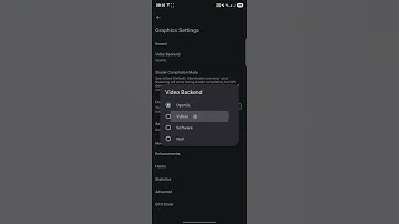 Best Dolphin (Wii/GC) Emulator backend For Low End Devices On Android #shorts #dolphinemulator