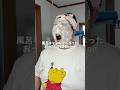 【可愛くなりたい43歳】風呂キャンしてしまったおっさんの翌朝vlog#可愛くなりたい #おっさん #vlog #スキンケア #ぼっち