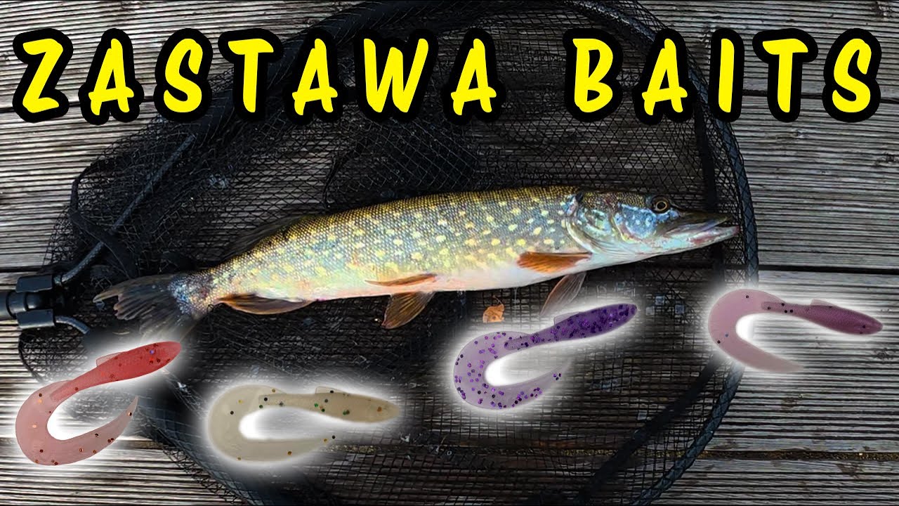 NOWE PRZYNĘTY od ZASTAWA BAITS. Czy sprawdzą się u mnie? 