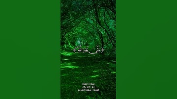 تلاوة مريحه للقلب | سورة : البقرة | ايه :214 | بصوت الشيخ : سعود الشريم