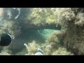 Подводная охота в Кабардинке 2013г., ч. 3, "Атака дельфина?"