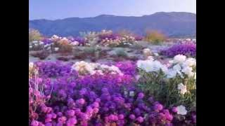 Download lagu Ширин Одно лишь слово    Bi Kelma Menak