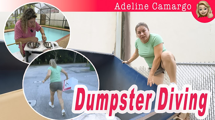 Primeiro video de dumpster depois da viagem @AdelineCamargo