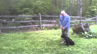 Introducing the Greeting Command