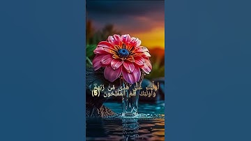 سورة البقرة الآية 5 #اكسبلور #المصحف #احاديث_قدسية_شريفة #دويتو