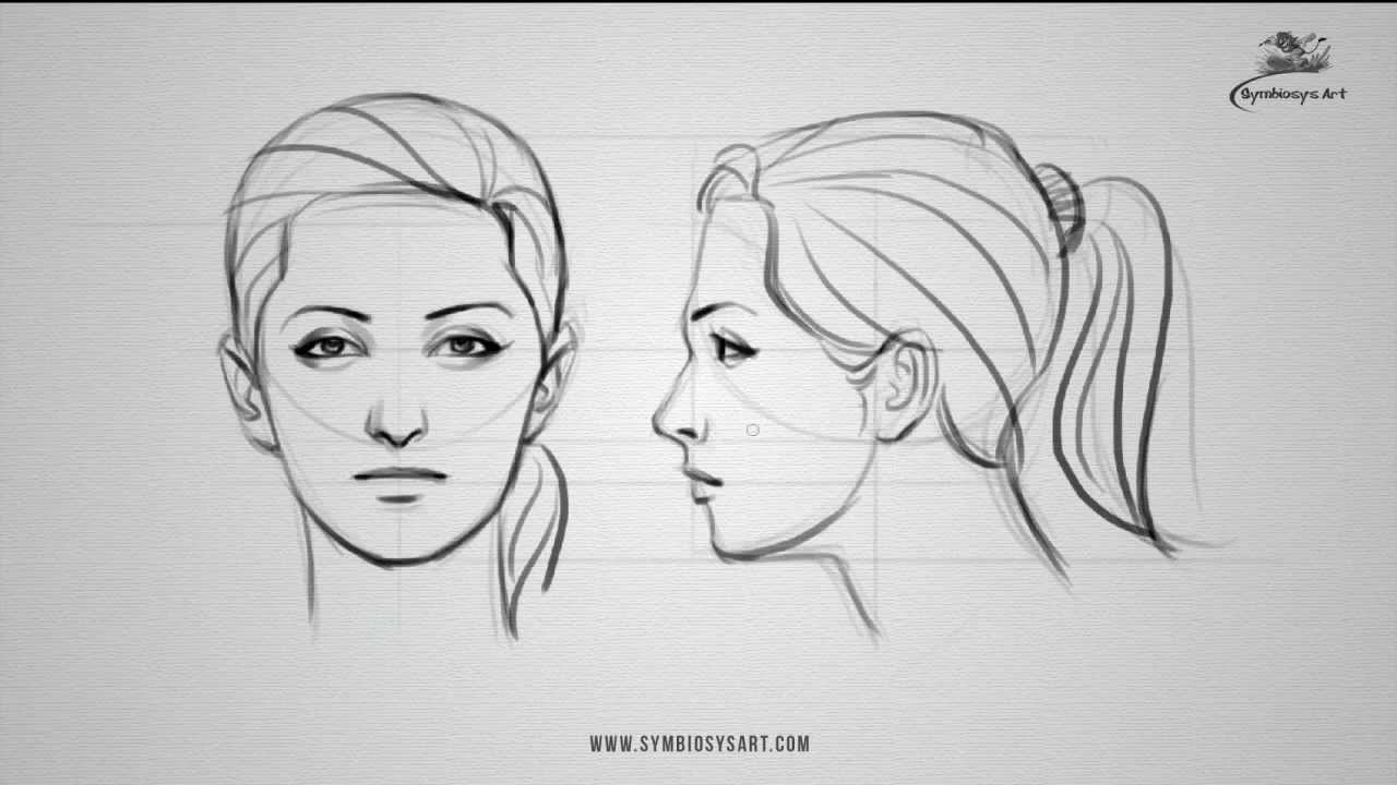 How to draw a female face - front and side view - YouTube.