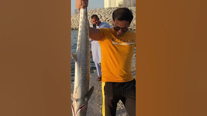 Monster King Fish on Bearking Lure ! #fishing #fishinglife #fishinguae