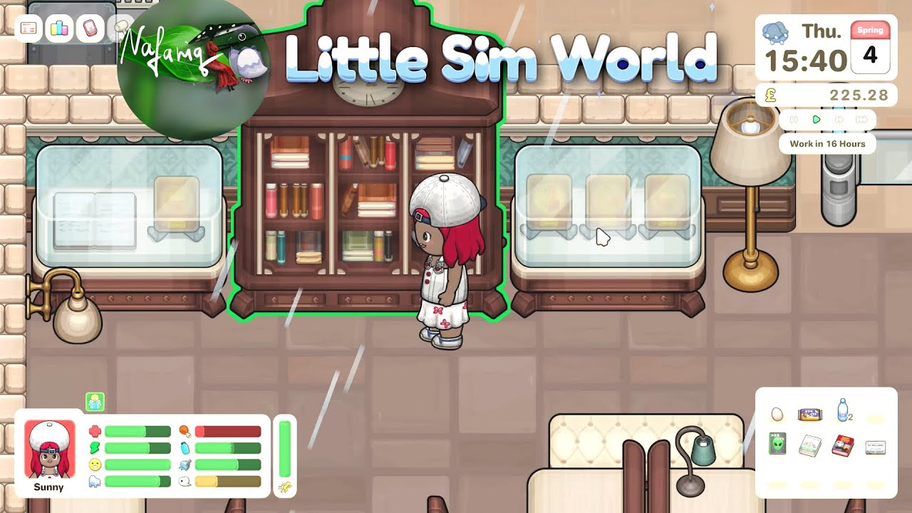 Little Sim World