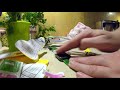 Amazfit ekran ochronny z Aliexpress