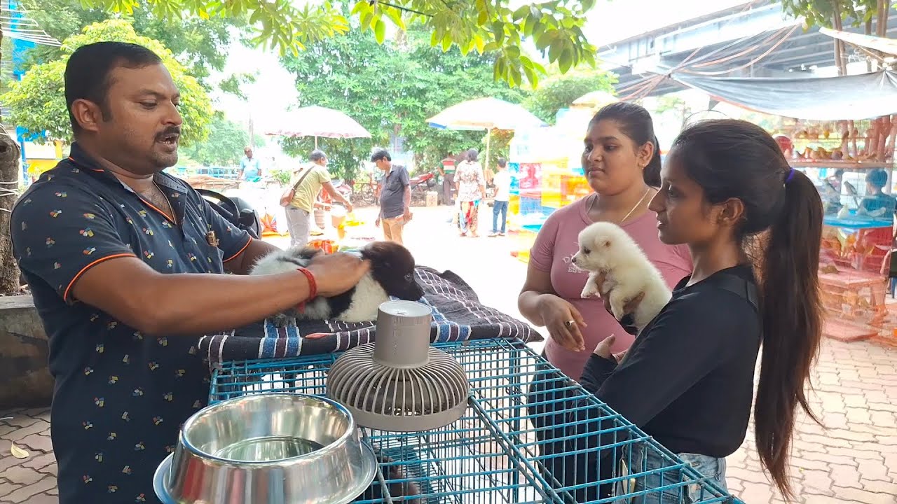 Selling a Labrador 🐶 | Another Day at Baguihati Sakher Haat