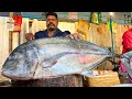 Kasimedu  speed selvam  37 kg giant trevally fish cutting  in kasimed  ff cutting 