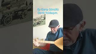 Ey Garip Gönüllü Dertli Yoldaşım...