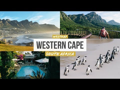 Video: Top-Aktivitäten im Westkap, Südafrika