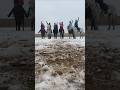 Раздали стиля на тренировке #тренды #edit #спорт #horse