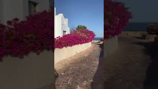 Domina Coral Bay Beach # 1 in Sharm دومينا الشاطىء رقم ١ فى شرم