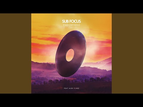 Sub Focus — Endorphins (Sub Focus Vs. Fred V & Grafix Remix)