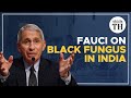 Dr. Fauci speaks on black fungus in India, vaccinations and more