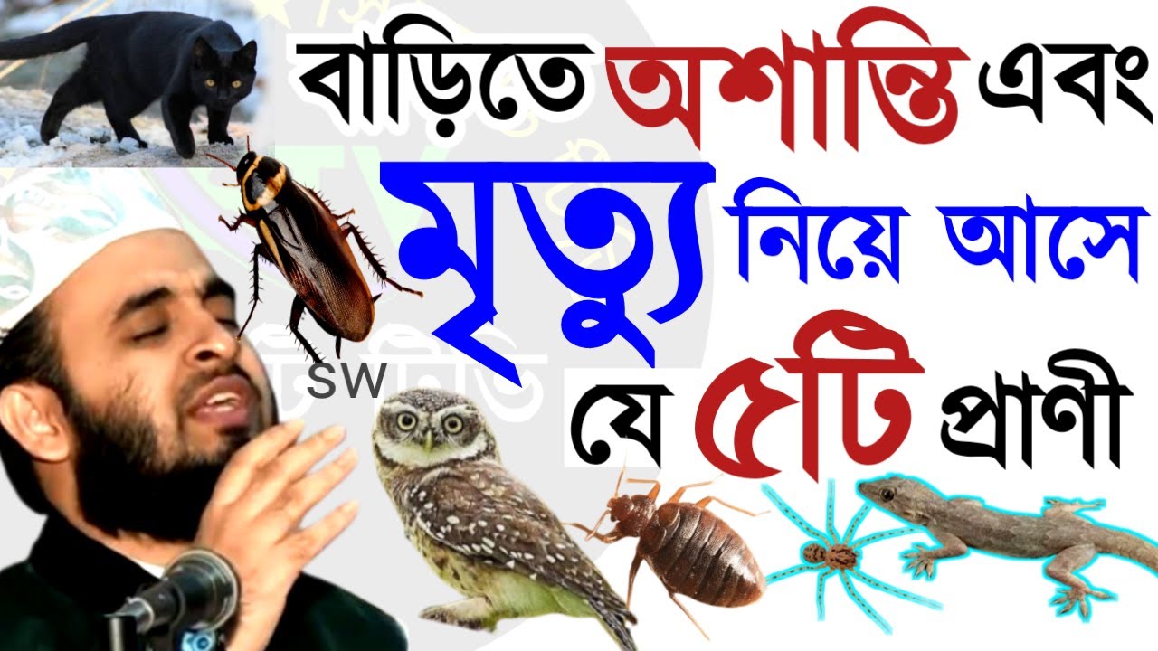 🟠সবাই সাবধান ঘরে অশান্তি এবং মৃত্যু নিয়ে আসে যে ৫ টি প্রানী 💚মিজানুর রহমান আজহারী=9 Mar 202604:45