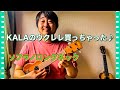 KALA KA-SLNG ソプラノロングネック　ウクレレ買っちゃった！