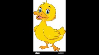 Draw the picture of Duck