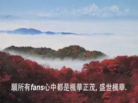 《煙外曉雲輕🌦️Mist beyond the Morning Cloud🌧️》蔡楓華🌄Kenneth Choi⛅🎶⛅🥀⛅🌄⛅🍃🌱🌅☁️🌧️🌨️🌦️🌥️⛅🎶