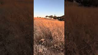 Big bro(Luiss Best vlogs) sunrise sunrisehike hikingadventures Hiking... #Shorts