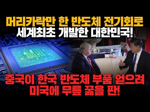 [경제] 머리카락만 한 반도체 전기회로 세계최초 개발한 대한민국! 중국이 한국 반도체 부품 얻으려 미국에 무릎 꿇을 판!