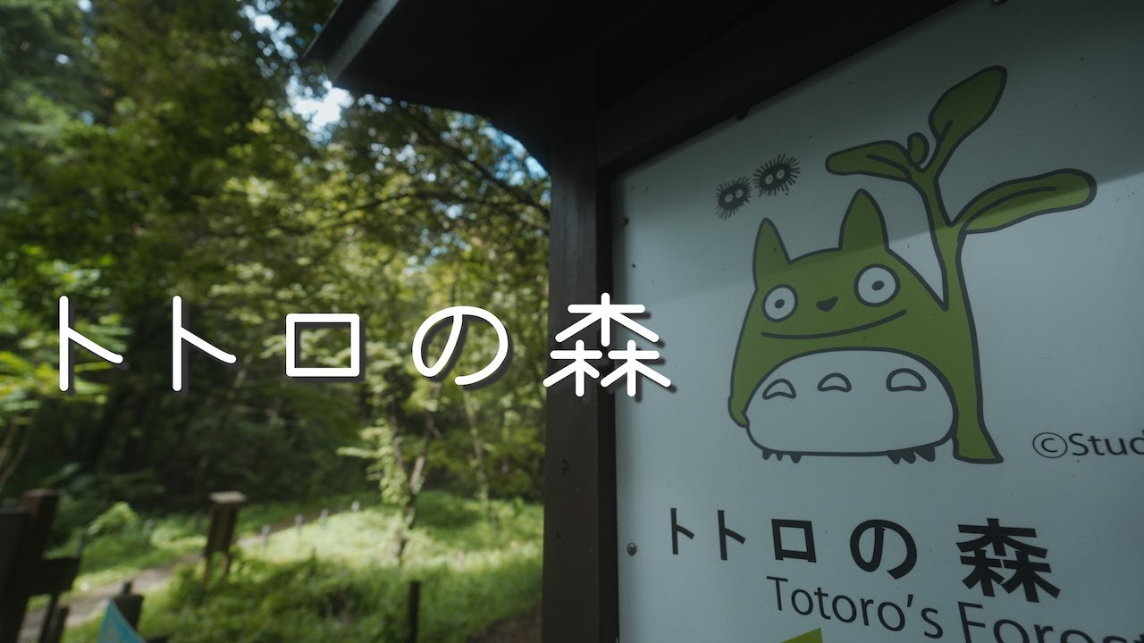 [足音ASMR・作業用BGM]ジブリ トトロの森を徘徊 Midnight Walk Footsteps