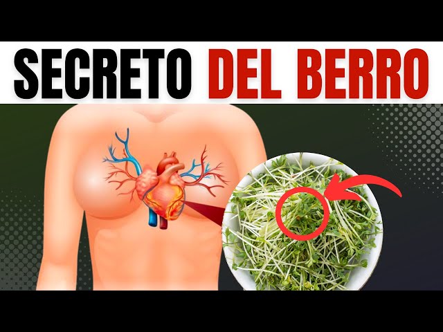 PARA QUÉ SIRVE EL BERRO: Beneficios Y Contraindicaciones ¡ESTA es LA MEJOR HIERBA Para tu Salud! class=