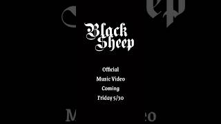 Black Sheep   Releasing Friday