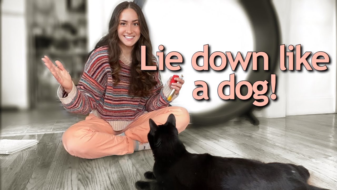 Teach Your Cat To Lie Down