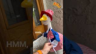 Do you know what a PORCH GOOSE is?! #shorts