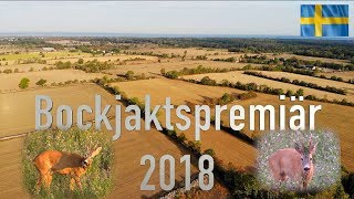 Bockjaktspremiär på Öland 2018 Bockjakt    Roebuck, Lockjakt på Bock