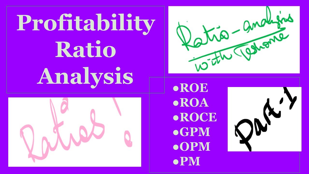Profitability Ratios/Return on Assets/Return on Equity/Gross Profit Margin/Operating Profit Margin