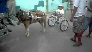 DSCF2238.AVI