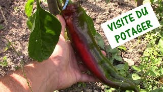 Le Jardin Potager Du Bonheur