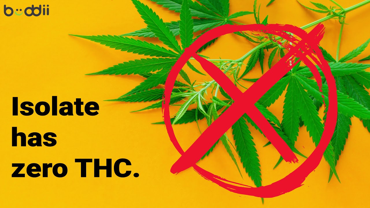 Top 5 reasons why CBD isn't working for you