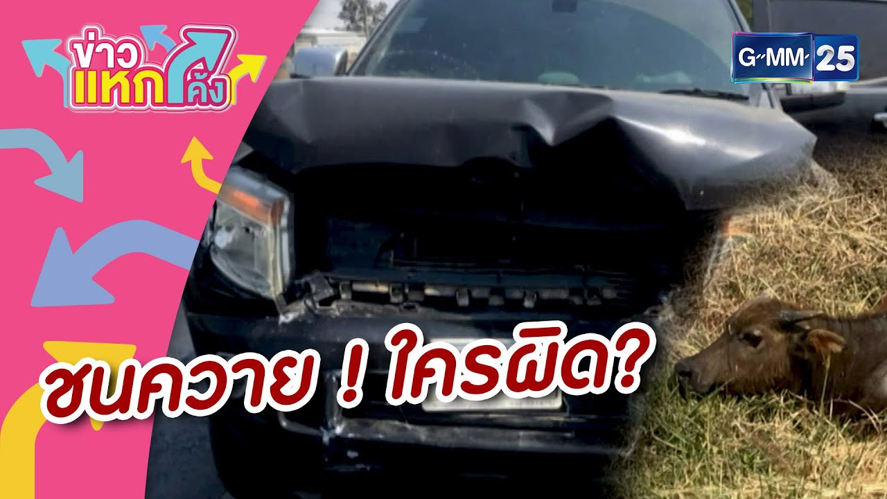 รถชนควาย! ใครกันแน่ที่ผิด? | Highlight | ข่าวแหกโค้ง |GMM25