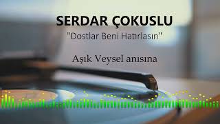 SERDAR ÇOKUSLU - DOSTLAR BENİ HATIRLASIN Resimi