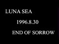 LUNA SEA - END OF SORROW - (LIVE)