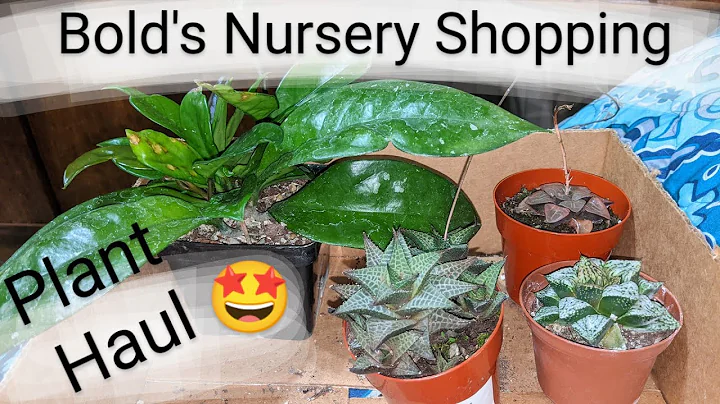 Plant Shopping & Haul / Bold's Nursery [Hoya &  Ha...
